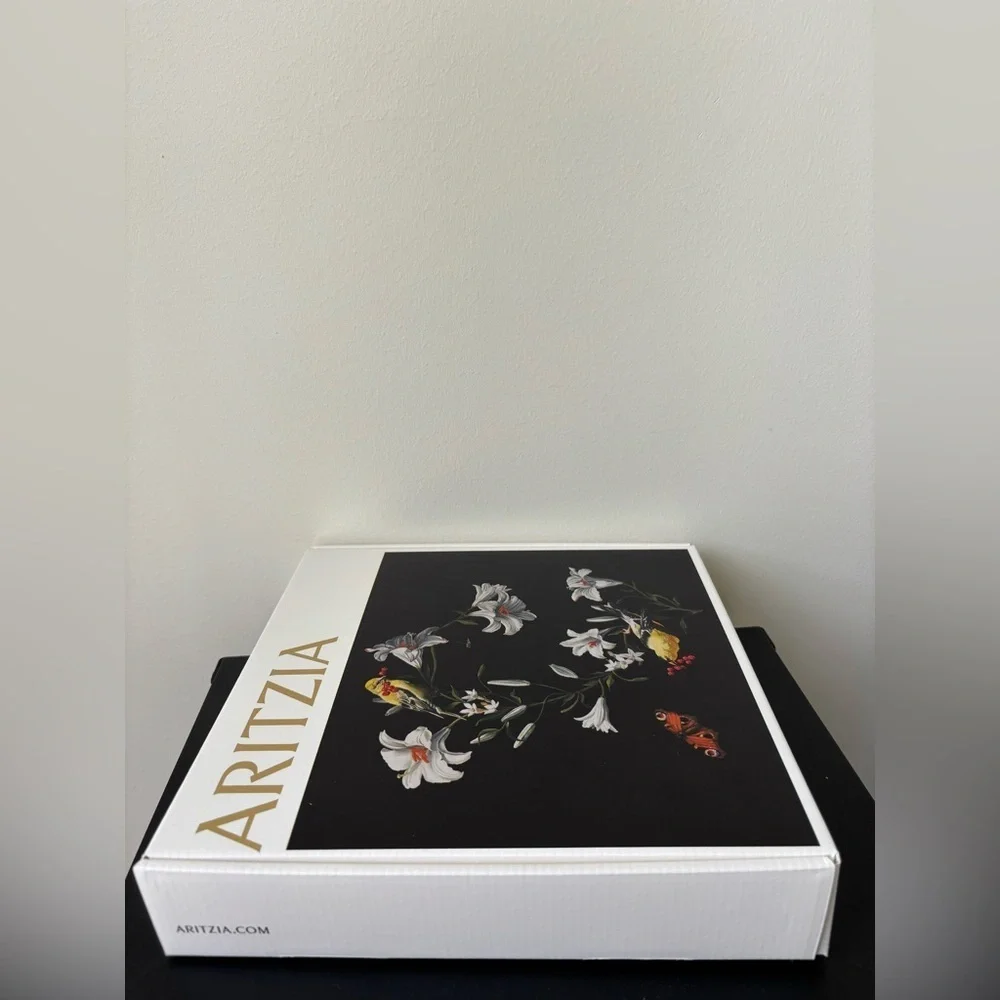 Aritzia small gift box